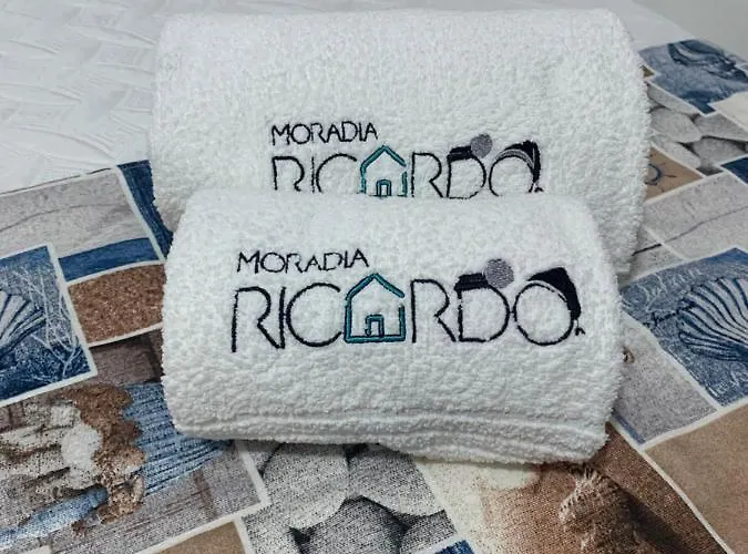 Проживание в семье Moradia Ricardo - *